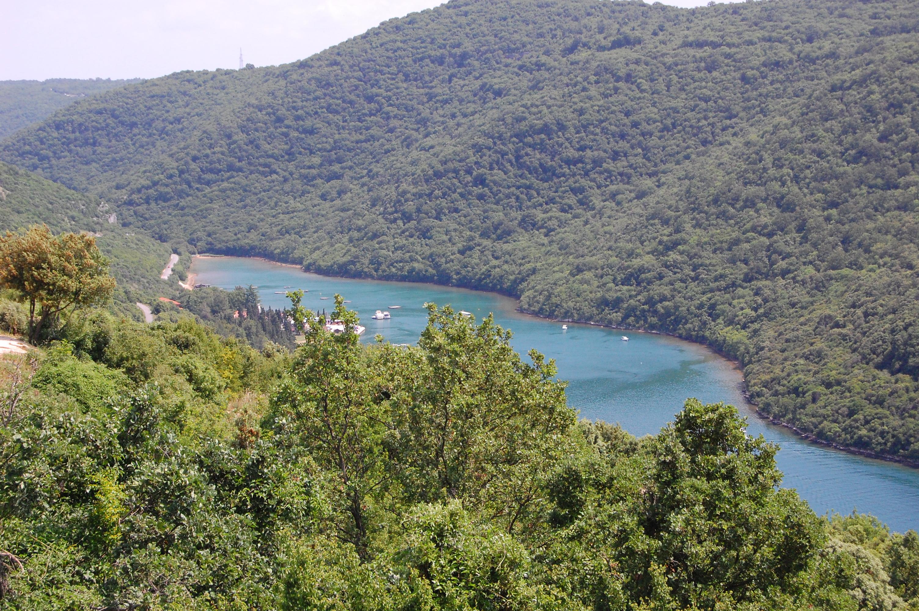 Blick auf den Fjord